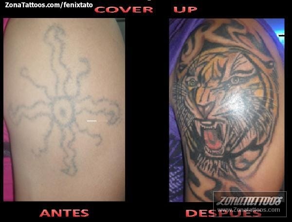 Foto de tatuaje Animales, Tigres, Cover Up