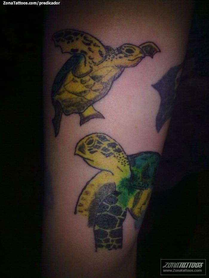 Foto de tatuaje Tortugas, Animales