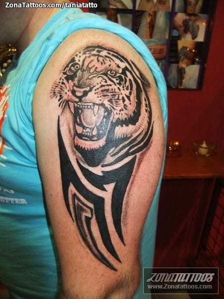 Foto de tatuaje Tigres, Animales, Tribales