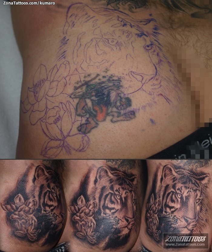 Foto de tatuaje Cover Up, Tigres, Animales