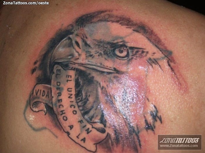 Tattoo photo Eagles, Birds, Animals