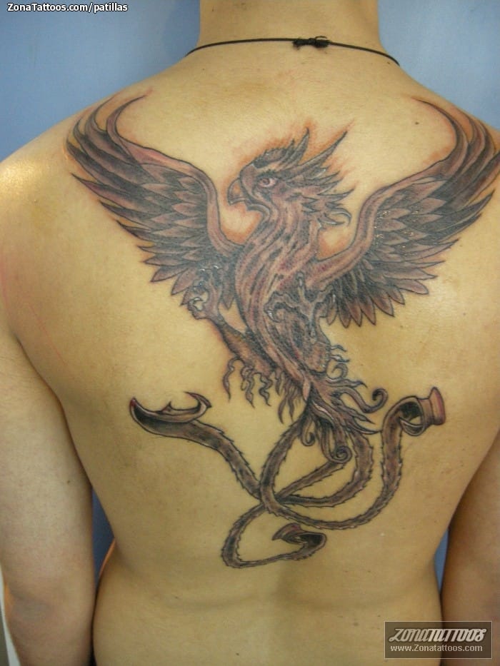 Tattoo photo Phoenix, Back