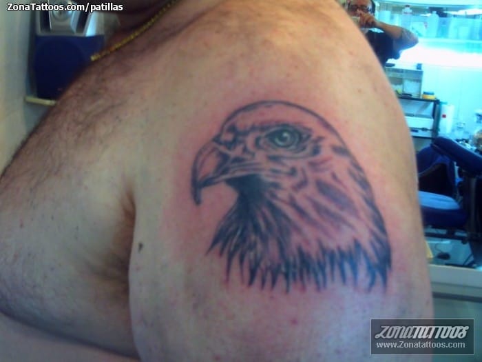 Foto de tatuaje Águilas, Aves, Animales