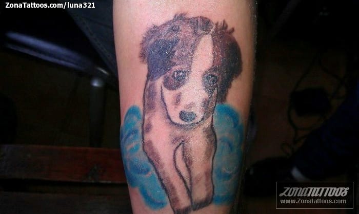 Tattoo photo Dogs, Animals