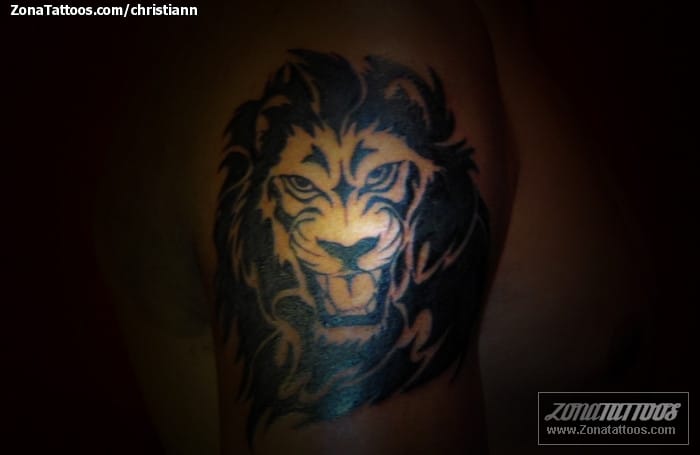 Foto de tatuaje Leones, Animales, Tribales