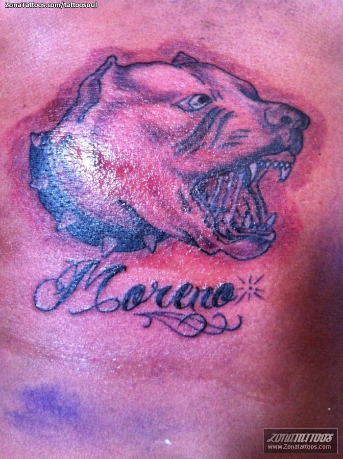 Foto de tatuaje Perros, Animales