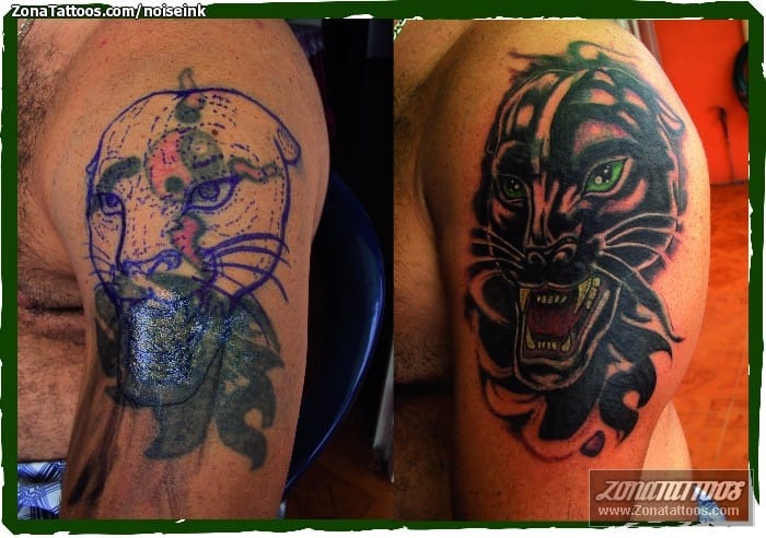 Foto de tatuaje Animales, Panteras, Cover Up