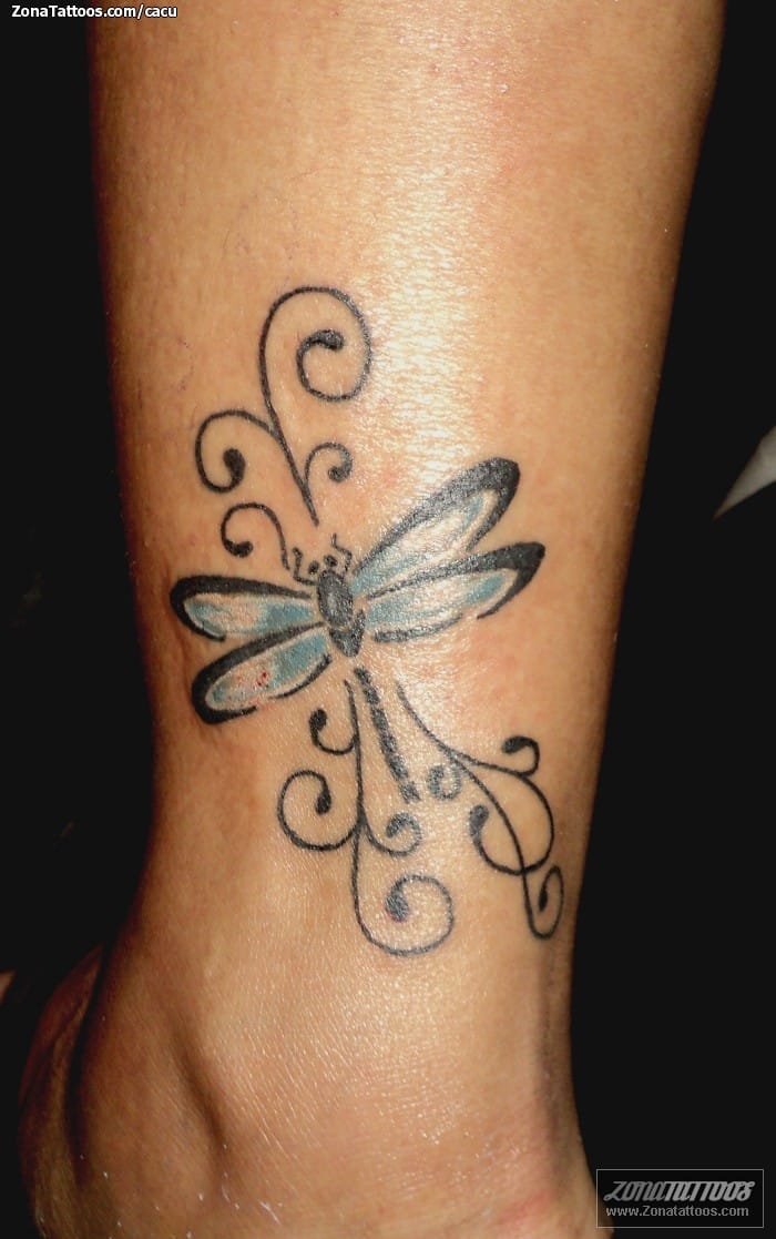 Tattoo photo Dragonflies, Insects