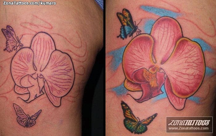 Tattoo photo Flowers, Orchids, Butterflies