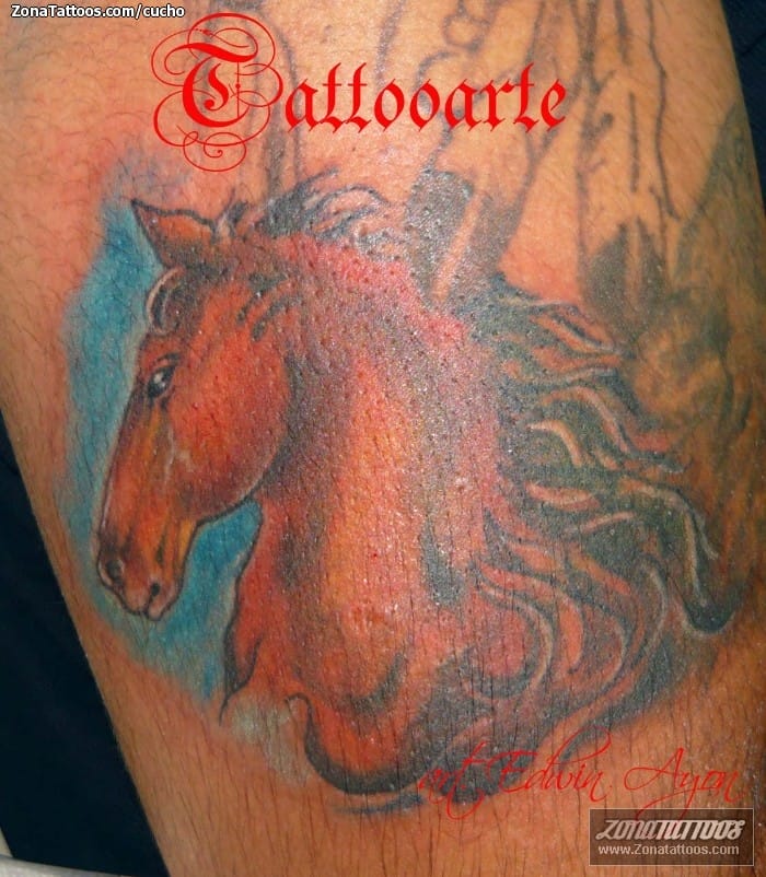 Foto de tatuaje Caballos, Animales