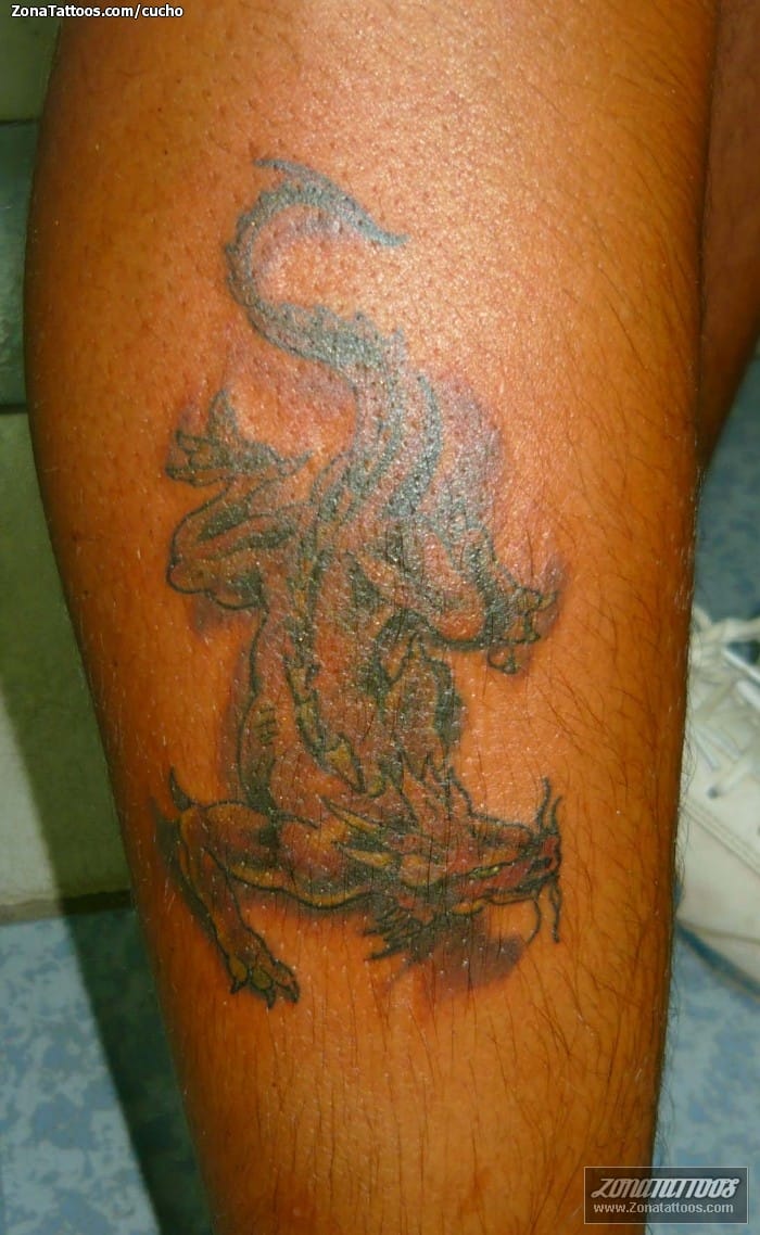 Tattoo photo Dragons, Fantasy