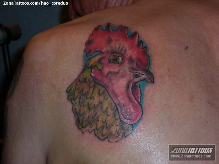 Foto de tatuaje Gallinas, Aves, Animales