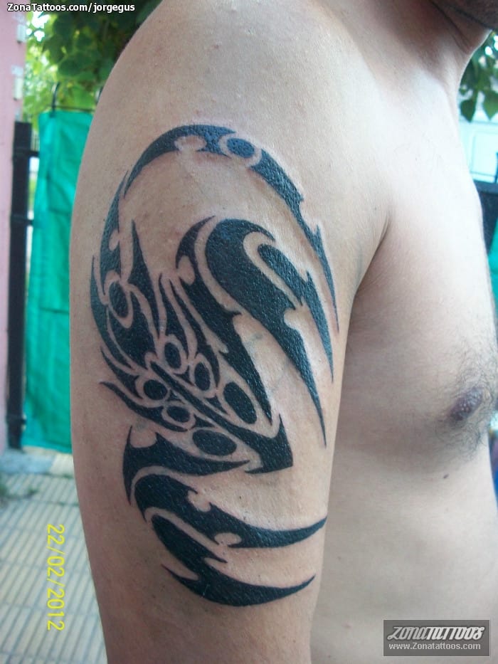 Foto de tatuaje Escorpiones, Tribales