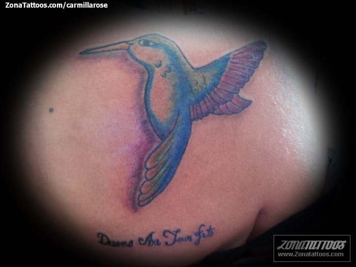 Tattoo photo Birds, Animals, Humming bird