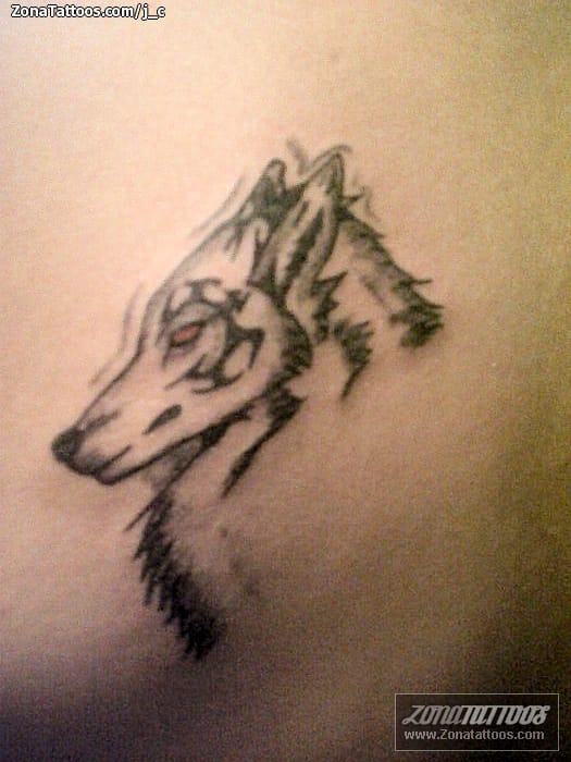 Foto de tatuaje Animales, Lobos