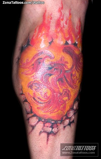 Tattoo photo Fantasy, Phoenix, Fires