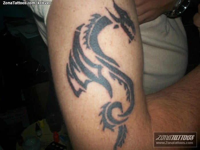 Tattoo photo Tribal, Dragons