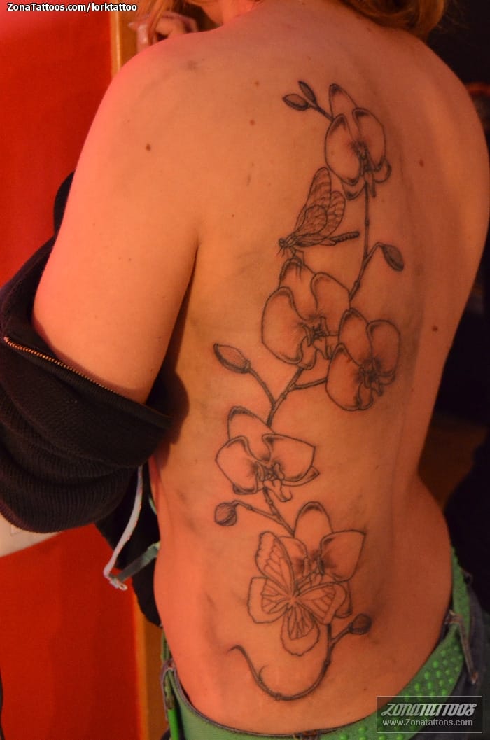 Foto de tatuaje Flores, Espalda, Mariposas