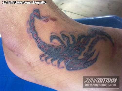 Tattoo photo Scorpions, Insects