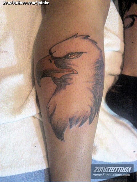 Tattoo photo Eagles, Birds, Animals