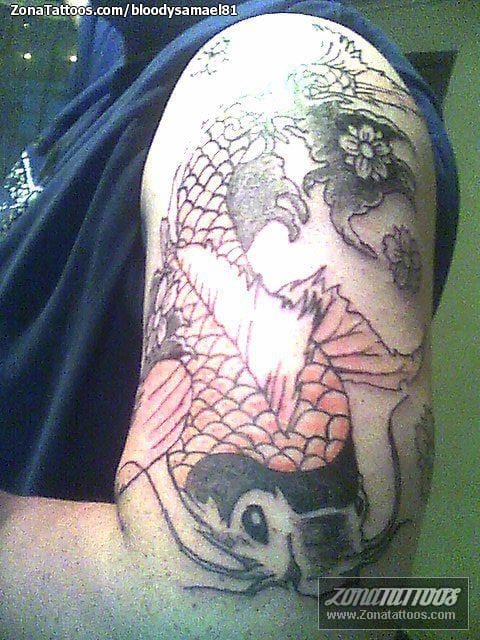 Tattoo photo Koi, Fish, Animals