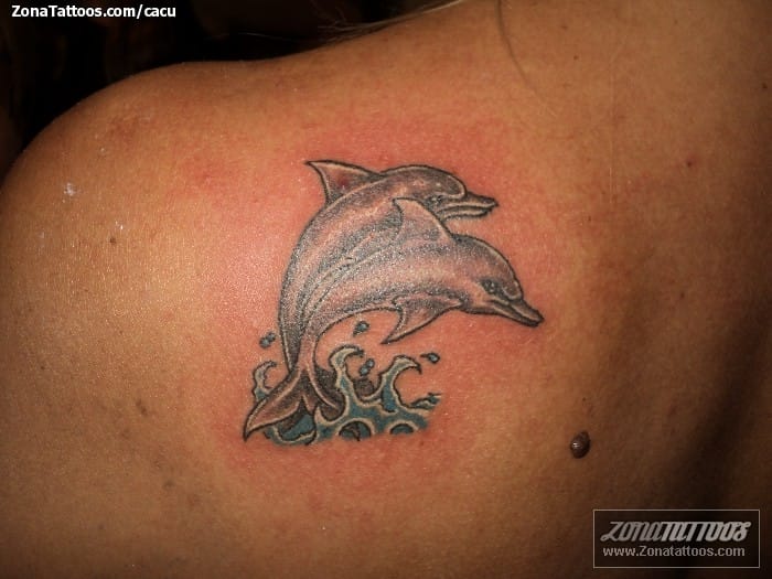 Foto de tatuaje Delfines, Animales