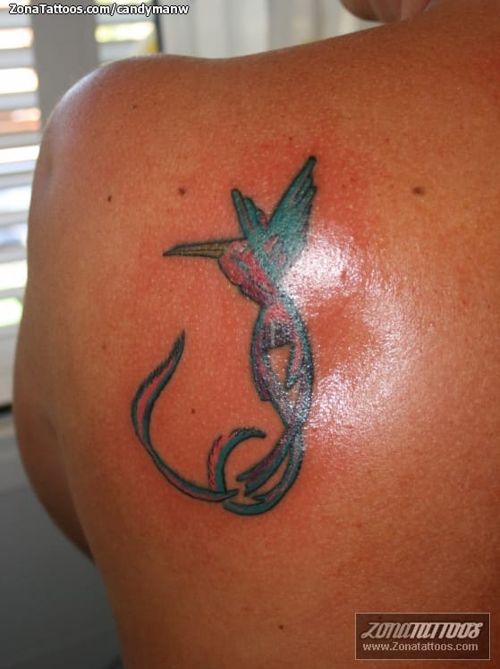 Tattoo photo Humming bird, Birds, Animals