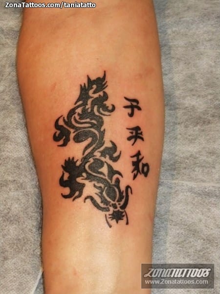 Tattoo photo Asian, Dragons