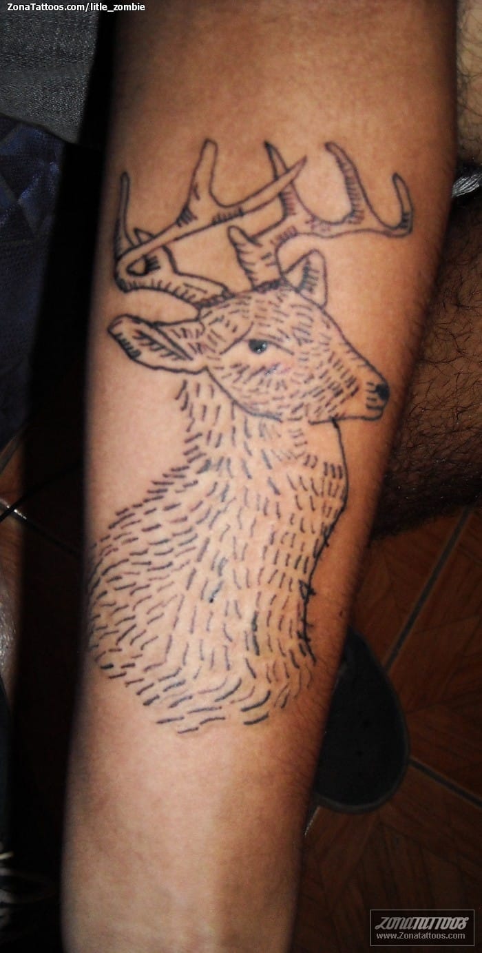 Tattoo photo Animals, Deers