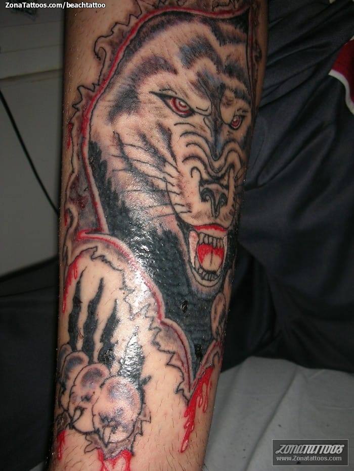 Tattoo photo Wolfs, Animals