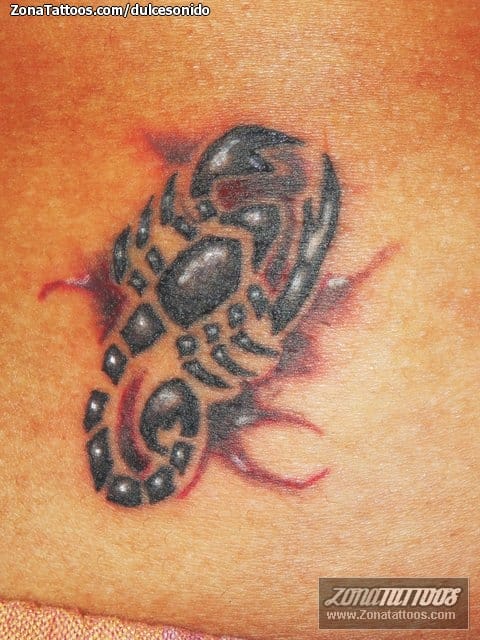 Tattoo photo Scorpions, Insects