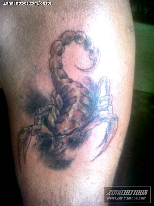 Tattoo photo Scorpions, Insects