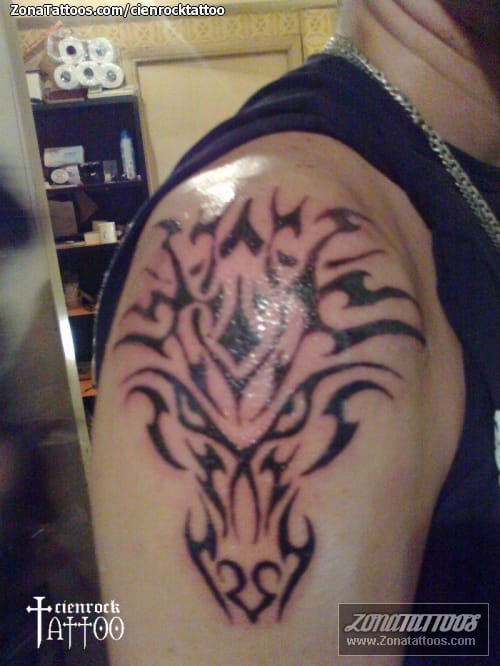 Tattoo photo Tribal, Dragons