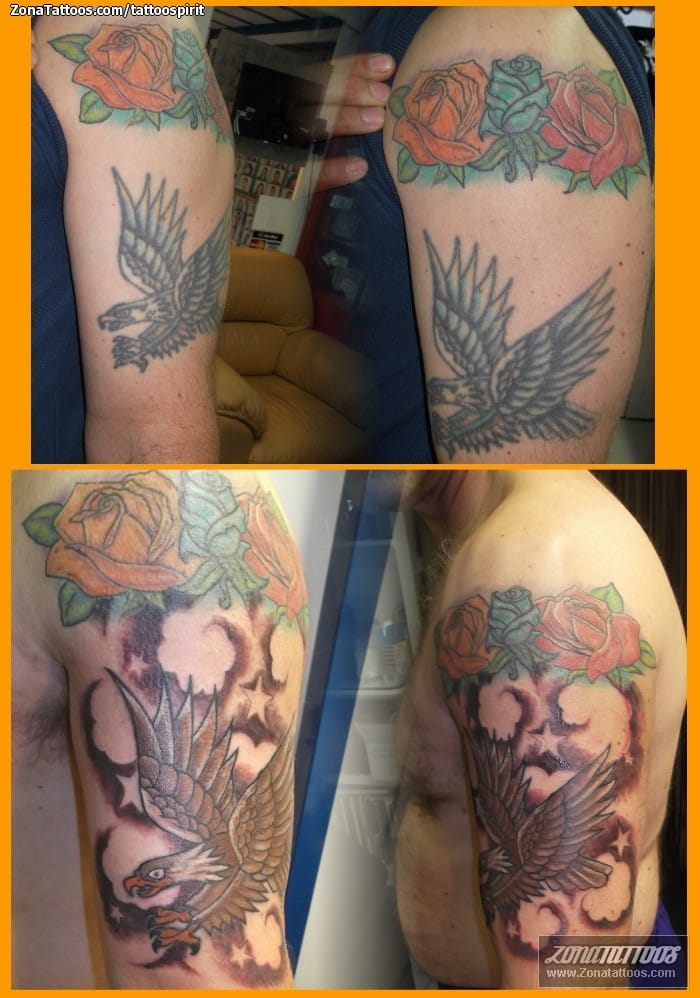 Tattoo photo Cover Up, Eagles, Birds