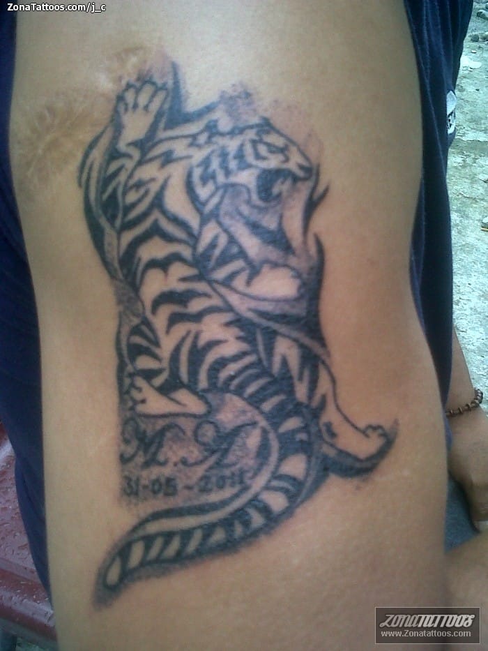 Tattoo photo Tigers, Animals