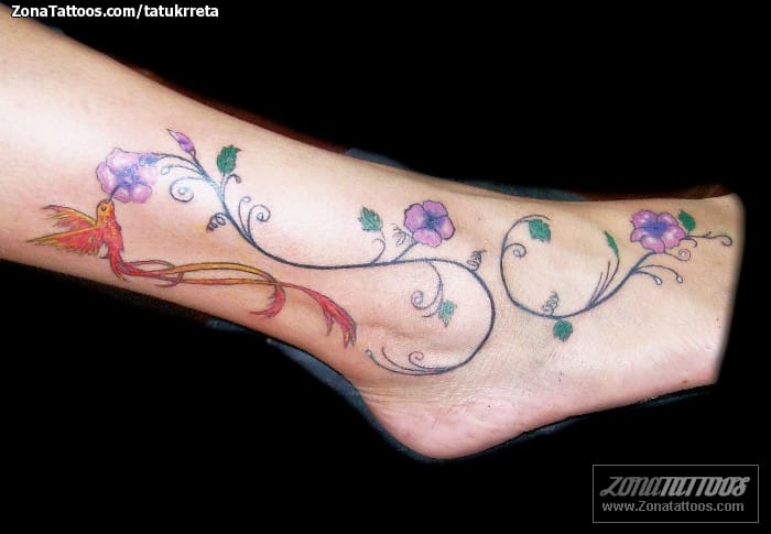 Tattoo photo Flowers, Humming bird, Ankle