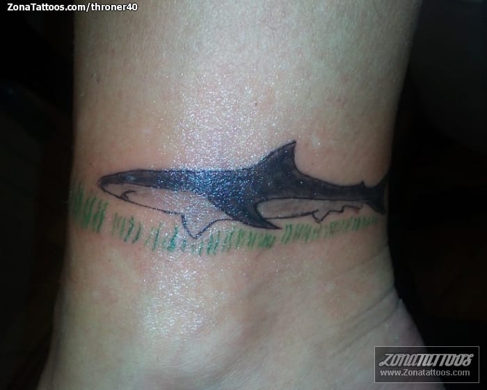 Foto de tatuaje Tiburones, Animales