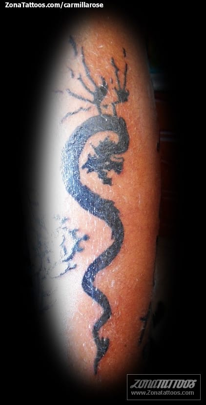 Foto de tatuaje Dragones