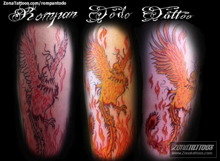 Tattoo photo Phoenix, Fantasy