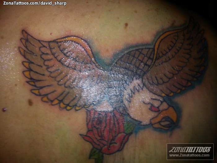 Tattoo photo Eagles, Birds, Animals