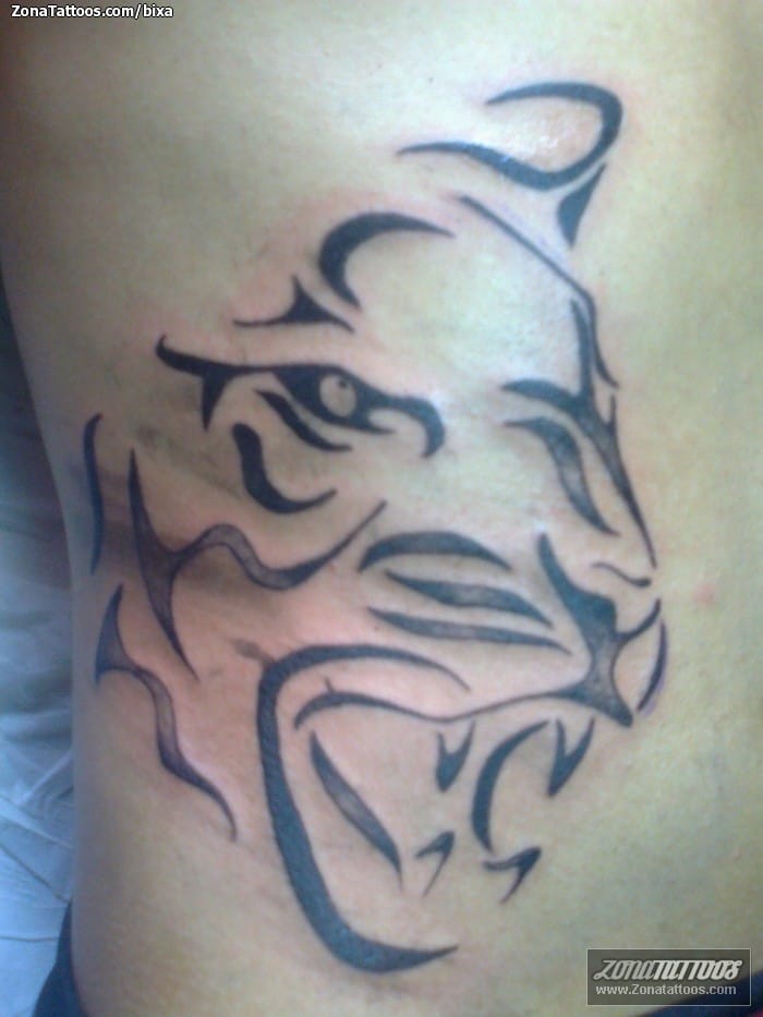 Foto de tatuaje Tigres, Animales, Tribales