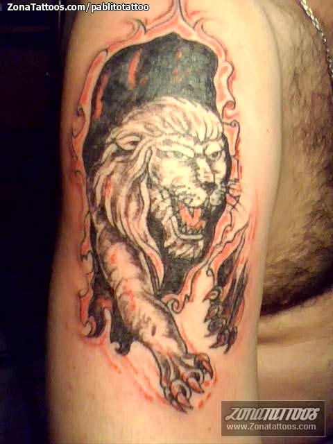 Tattoo photo Animals, Cracks, Lions