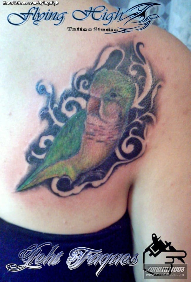 Tattoo photo Birds, Animals