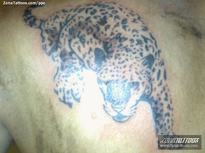 Foto de tatuaje Leopardos, Animales