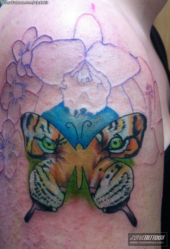 Foto de tatuaje Mariposas, Tigres, Animales