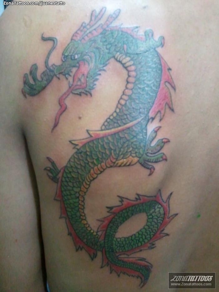 Tattoo photo Dragons, Back, Asian