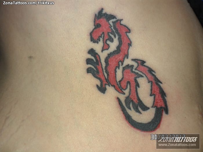 Foto de tatuaje Fantasía, Dragones