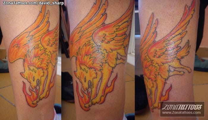 Tattoo photo Wolfs, Fires, Llamas