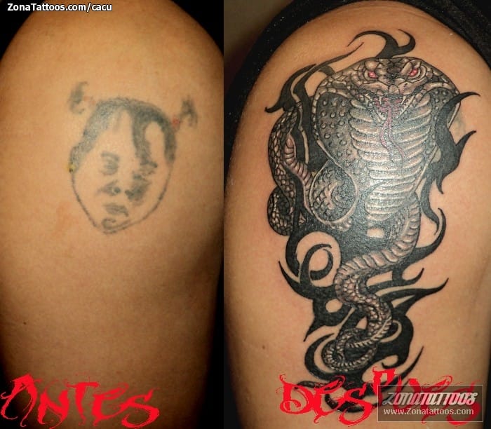 Foto de tatuaje Cover Up, Cobras, Serpientes