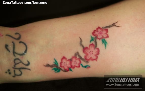 Tattoo photo Flowers, Cherry blossoms, Forearm